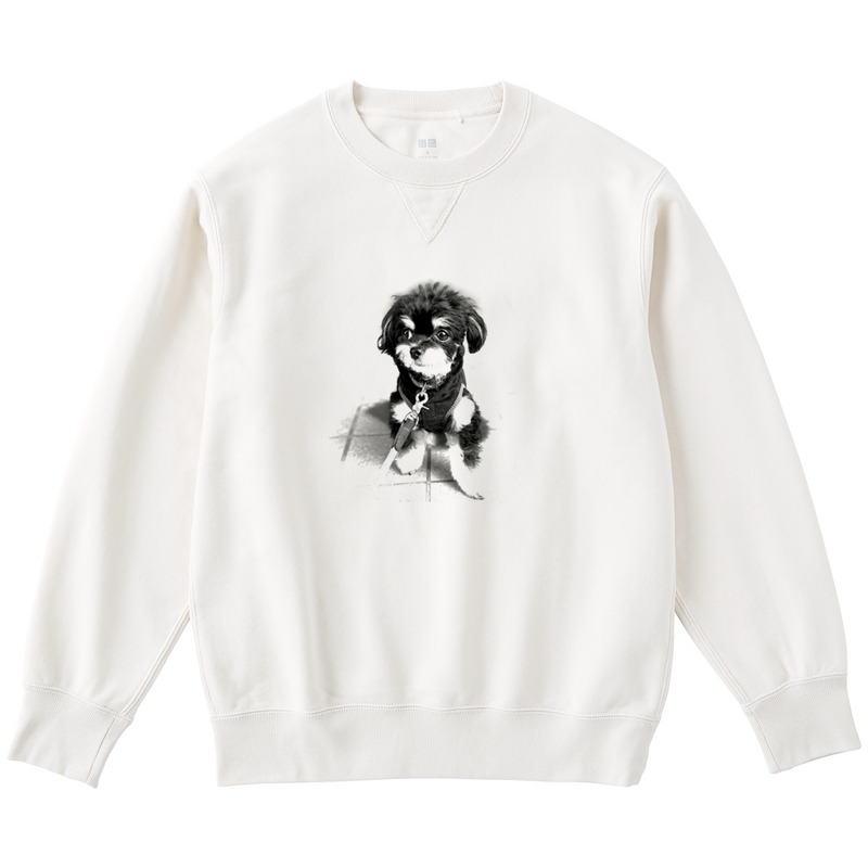 F4027eed 4ddf 4064 ab61 b490dca57445 122 print ll