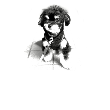 F4027eed 4ddf 4064 ab61 b490dca57445 s