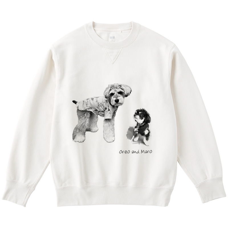 87af67b0 45aa 4755 b135 11dbd475a875 122 print ll