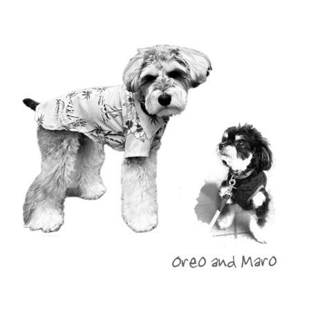 87af67b0 45aa 4755 b135 11dbd475a875 s