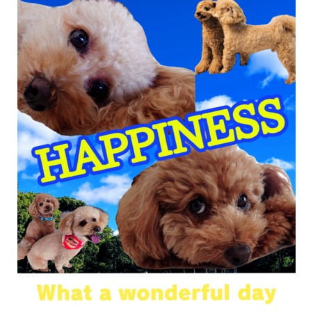 9eb0f097 b4af 4538 bb4c 53b980983b55 s