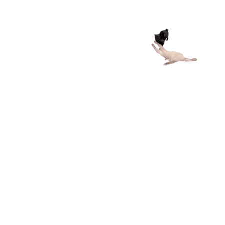 7e60da0f 1581 4928 a12f 45b595cf78d0 s