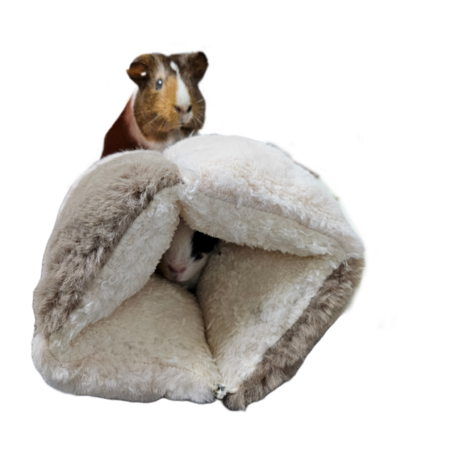 45262c06 3e58 45fe b4f5 980efedf7b87 s