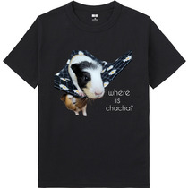 C2b9bc35 f8f2 4ac4 bfcd 24288deb706d 65 print s