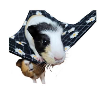 C2b9bc35 f8f2 4ac4 bfcd 24288deb706d s