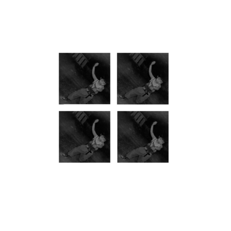 3b2c1350 826e 4aad 9527 f76b6b1dbb41 s