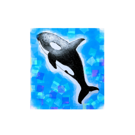 Ced94151 f5d9 4aec bef0 7e0e6a6d1af4 s