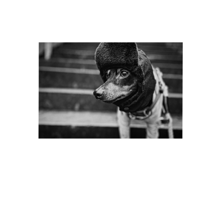 Fa939ff7 6aa5 4a61 9c8e 3aa888057618 s