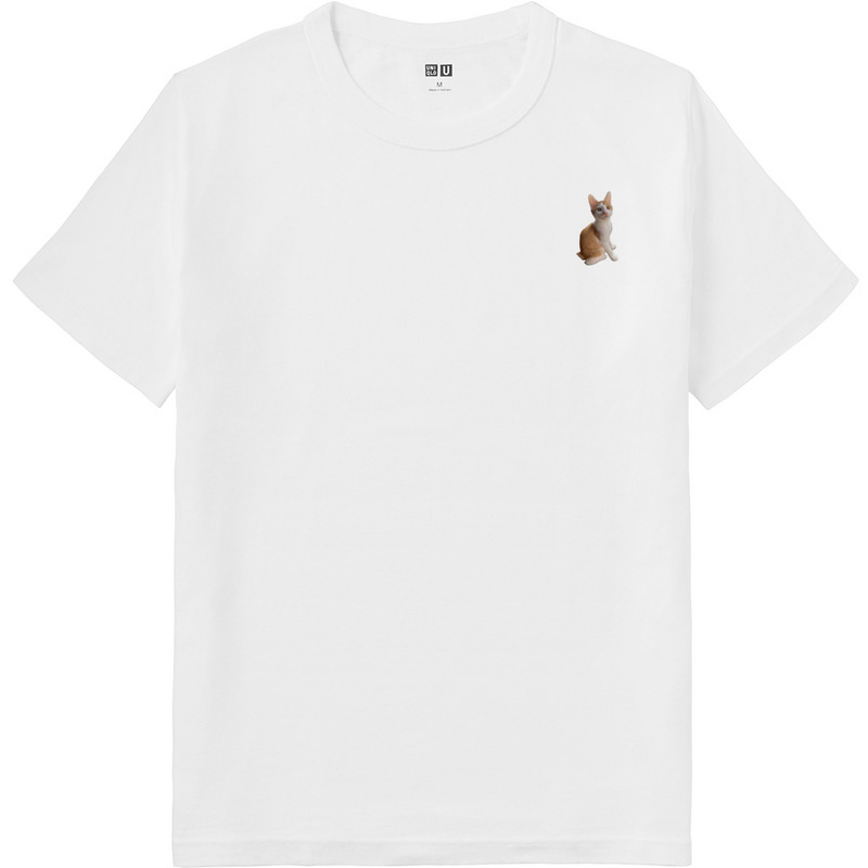 02e7327d 4c3b 426b a902 73dd7d7db024 64 print ll