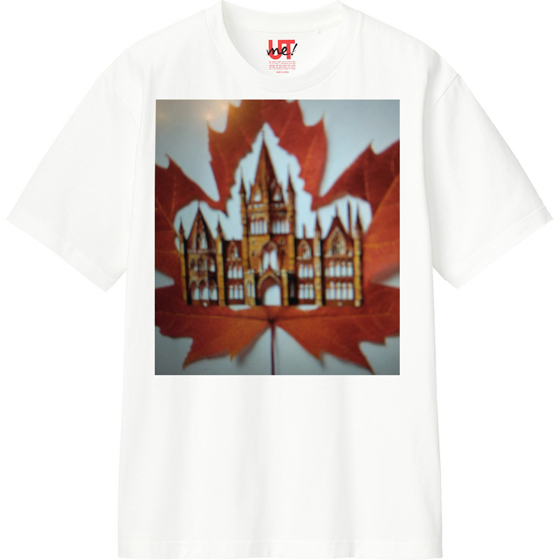 477837aa 3220 48ed b0ac 28143da8c63e 110 print ll