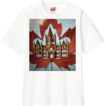 477837aa 3220 48ed b0ac 28143da8c63e 110 print s