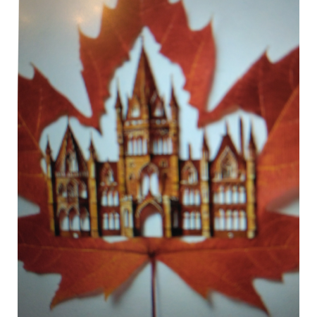 477837aa 3220 48ed b0ac 28143da8c63e s