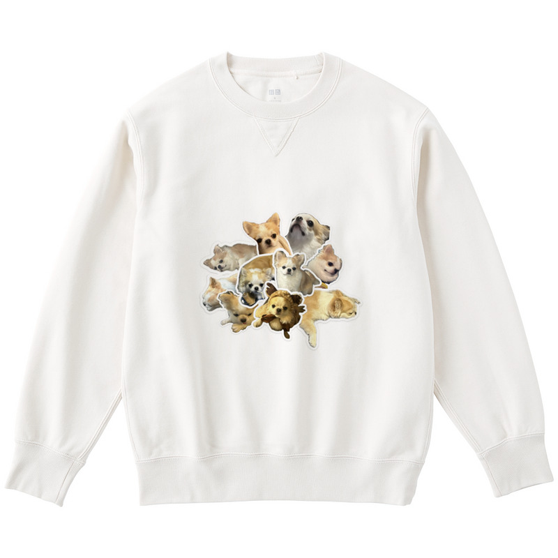 5ff1c25f e827 4233 b089 c656887df43d 122 print ll