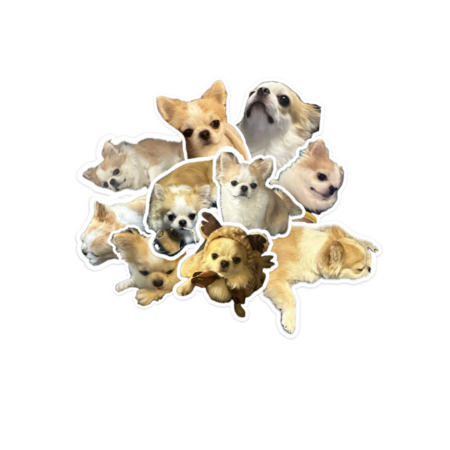 5ff1c25f e827 4233 b089 c656887df43d s