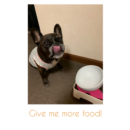 1ece0f6f 2da8 4cb5 a4d7 a2833c7bfacf s