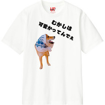 099f8bdf 8160 4c8c 8f00 ebec380b2fa9 110 print s