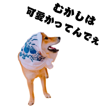 099f8bdf 8160 4c8c 8f00 ebec380b2fa9 s