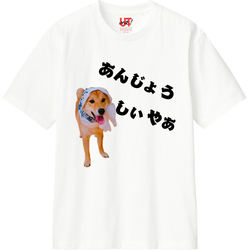 Dcddcac4 14cf 4c09 a0f6 2df1af3abcc5 110 print ll