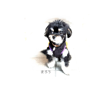 4f3c4f17 be64 4c30 84fd b237ce21e70e s