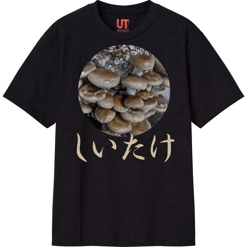 9fafb550 b768 4dd1 9b7b b87016726204 111 print ll