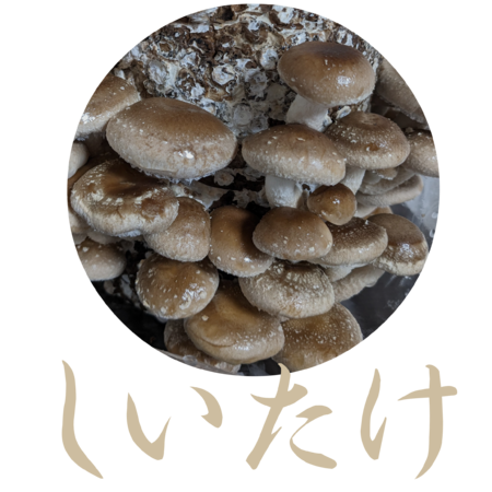 9fafb550 b768 4dd1 9b7b b87016726204 s