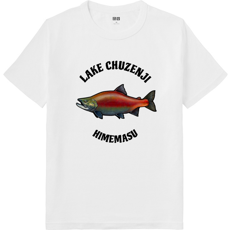 A3e19f8b a43d 413a 914a dc2c95b26f0a 64 print ll