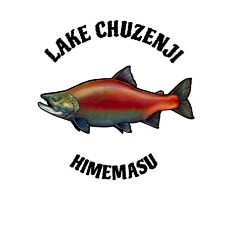 A3e19f8b a43d 413a 914a dc2c95b26f0a s