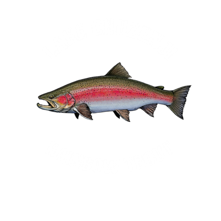 F4a4fb97 81ca 49a2 9479 9def5aa7410b s