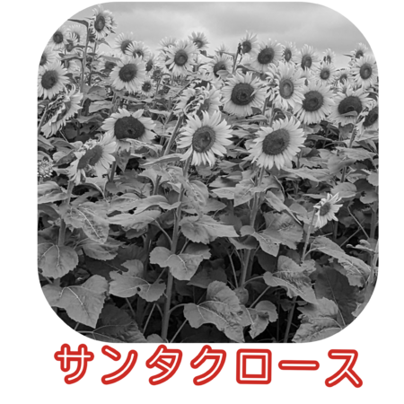 7ffb2421 de29 4454 adc4 c0825e3b58d8 s