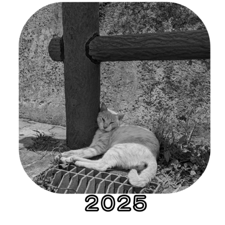 9420c1e6 a72d 4ed6 aa19 c892c8f0bf70 s