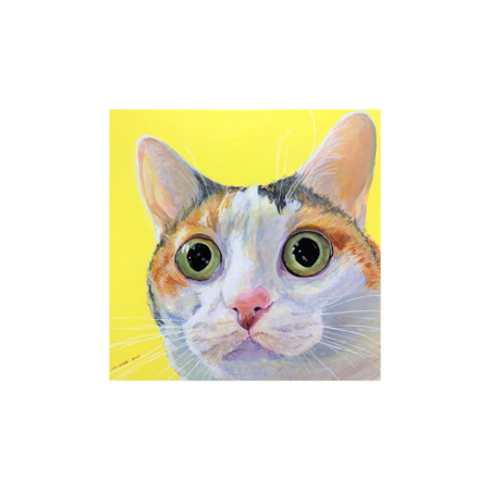 0b323746 379e 4b4e a531 12d3885c36ad s