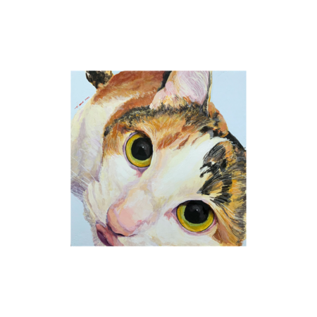 C4c77684 8d02 46c7 839e 2cdb8f71ff93 s