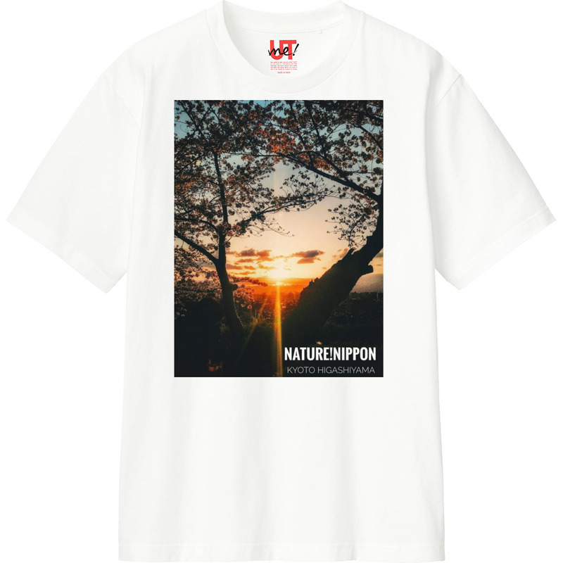 307262ee acd2 4d64 91e7 25357f2778f9 110 print ll