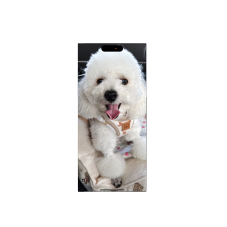 A8e5e260 b8c9 42e8 aac3 8d9a8ac56cd1 s