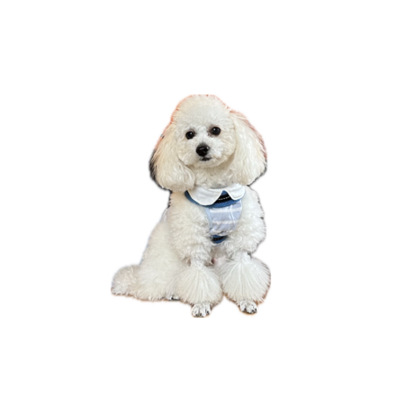 64ef6609 ae5c 4dd6 9762 792e875bfa06 s