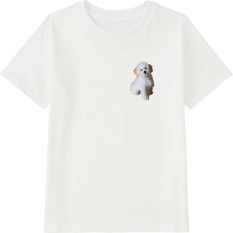 88a3ad5a 05f9 4c62 8da4 4b41c2ac33b9 45 print ll