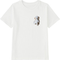 88a3ad5a 05f9 4c62 8da4 4b41c2ac33b9 45 print s