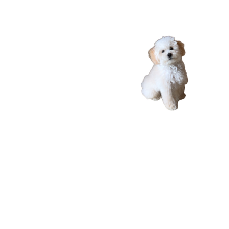 88a3ad5a 05f9 4c62 8da4 4b41c2ac33b9 s