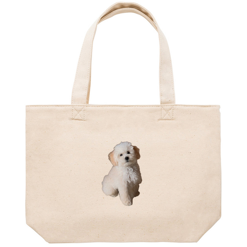 F9e9ffa9 988a 4521 835e 32da48f02a08 53 print ll