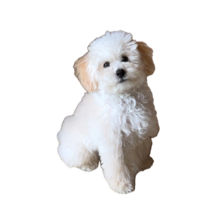 F9e9ffa9 988a 4521 835e 32da48f02a08 s