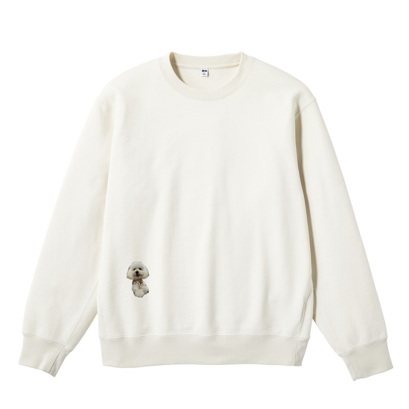 86021825 97e9 47b8 8112 854151e0b877 122 print ll