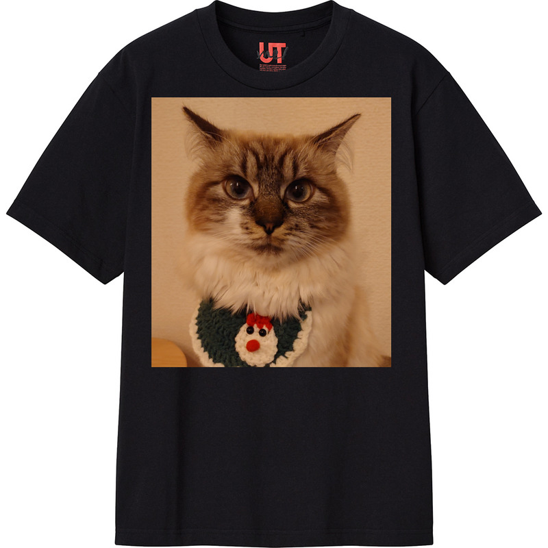 8fcae674 875e 4160 8975 bf105767035a 111 print ll