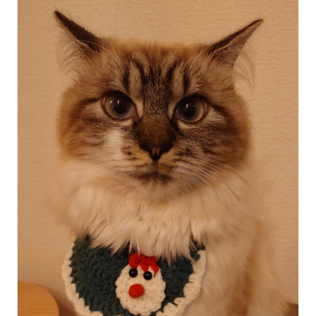 8fcae674 875e 4160 8975 bf105767035a s