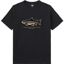 3c15c9b4 a8ed 4416 8552 1bff3ae74b5c 65 print s