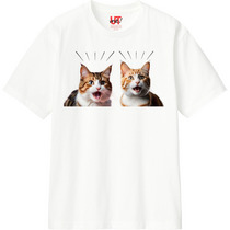 88adf170 3306 4143 a31a 752daceb4ec6 110 print s