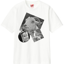 F3ea3981 f513 4934 9aa2 fb91b364c738 110 print s