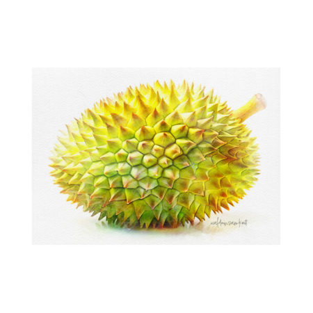 B1675099 4203 4741 b55f 6e7ba6f89dbb s