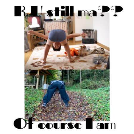 01db0d02 e174 4b4b bc27 3cc10a33f99c s