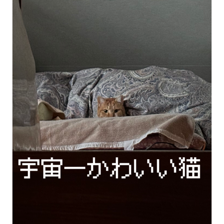 A484b20d bcd0 4e7f b1b5 b022d1aaa233 s