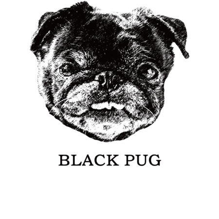 3419cab6 147f 4f05 adda 306e27cd33ca s